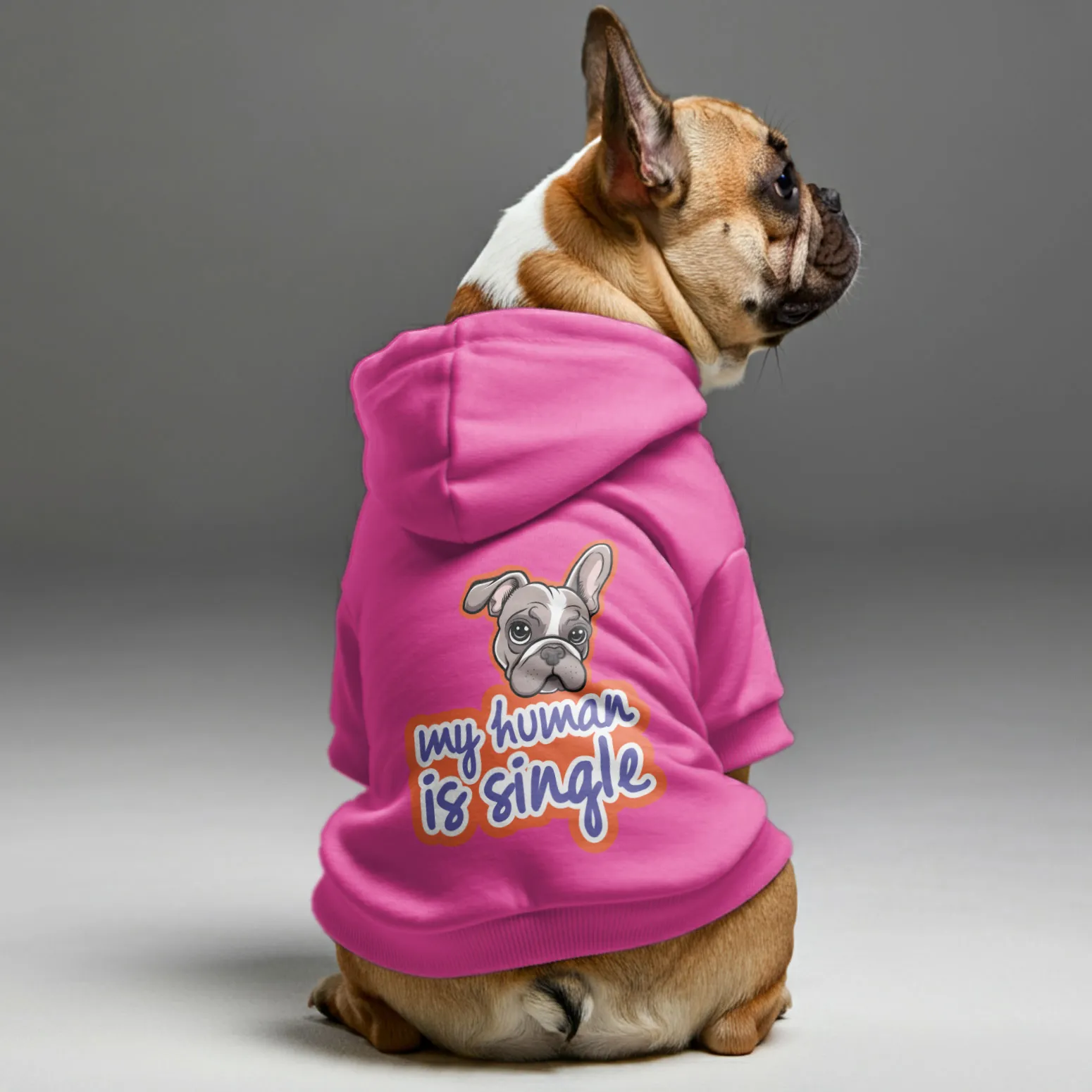 my human is single - Personalized French Bulldog Hoodies with Funny Quotes – Stylish, Cozy, and Premium 100% Cotton