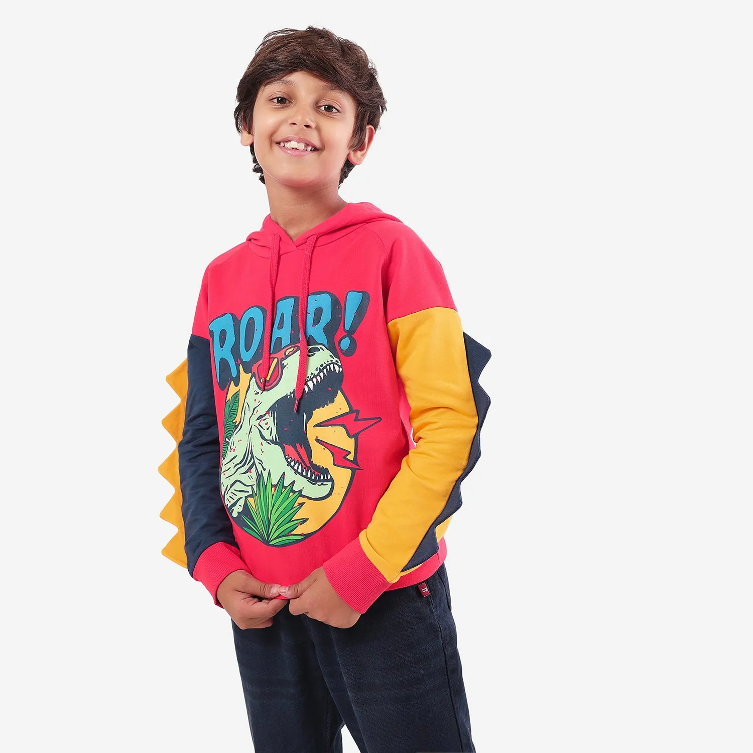 Roar Printed Boys Hoodies