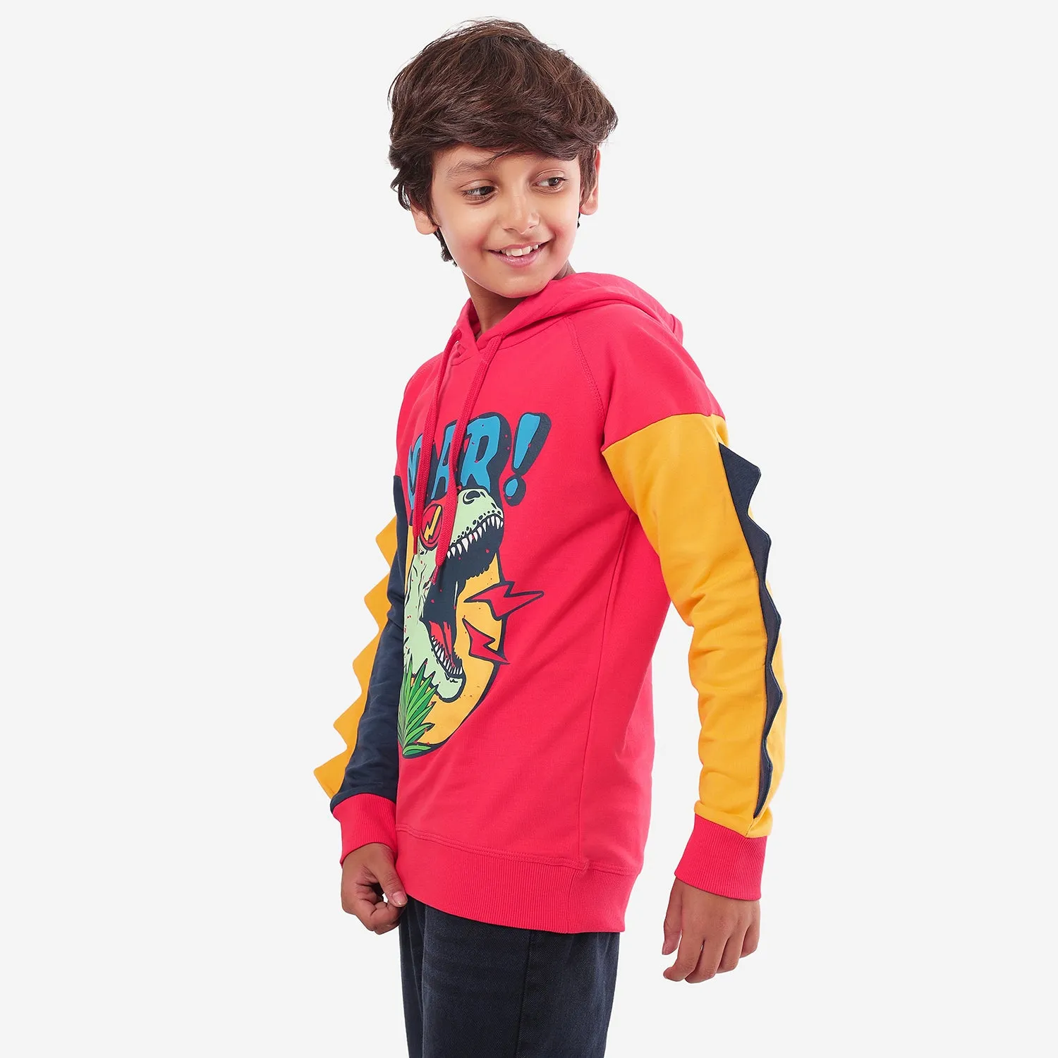 Roar Printed Boys Hoodies