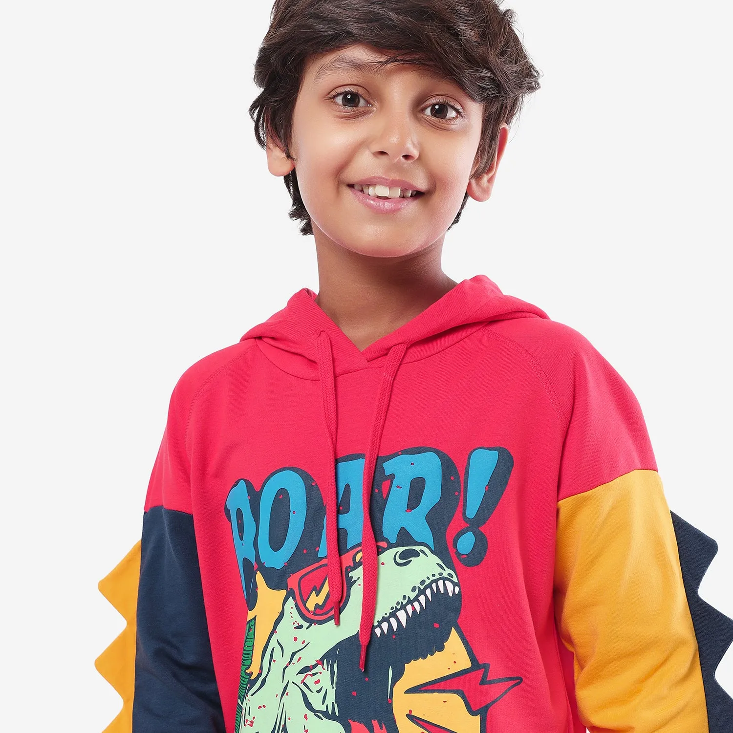 Roar Printed Boys Hoodies